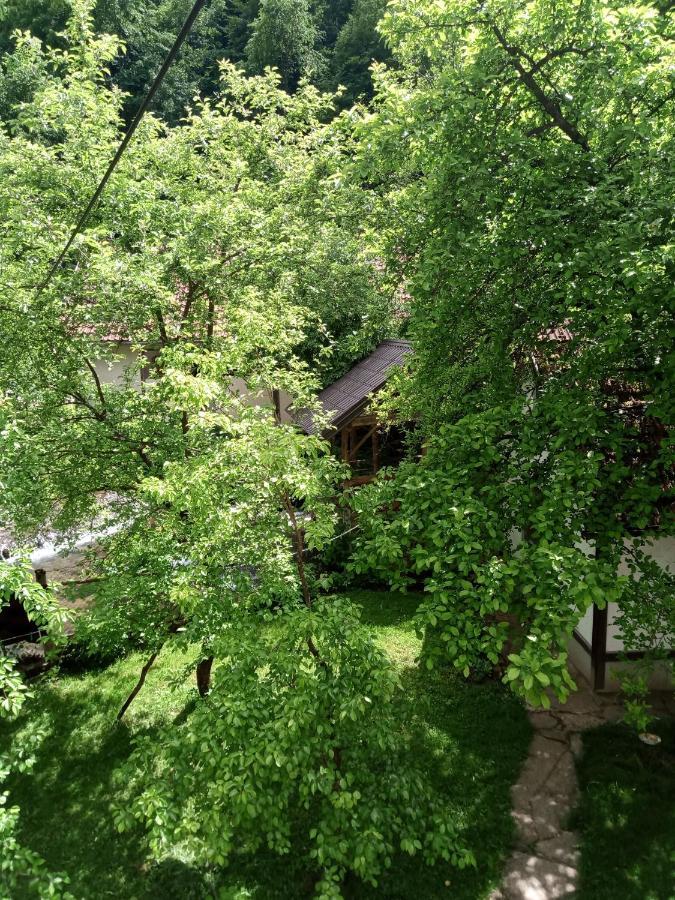 Hôtel Smjestaj Na Selu "Dule Piljic" Janjske Otoke. à Sipovo Extérieur photo